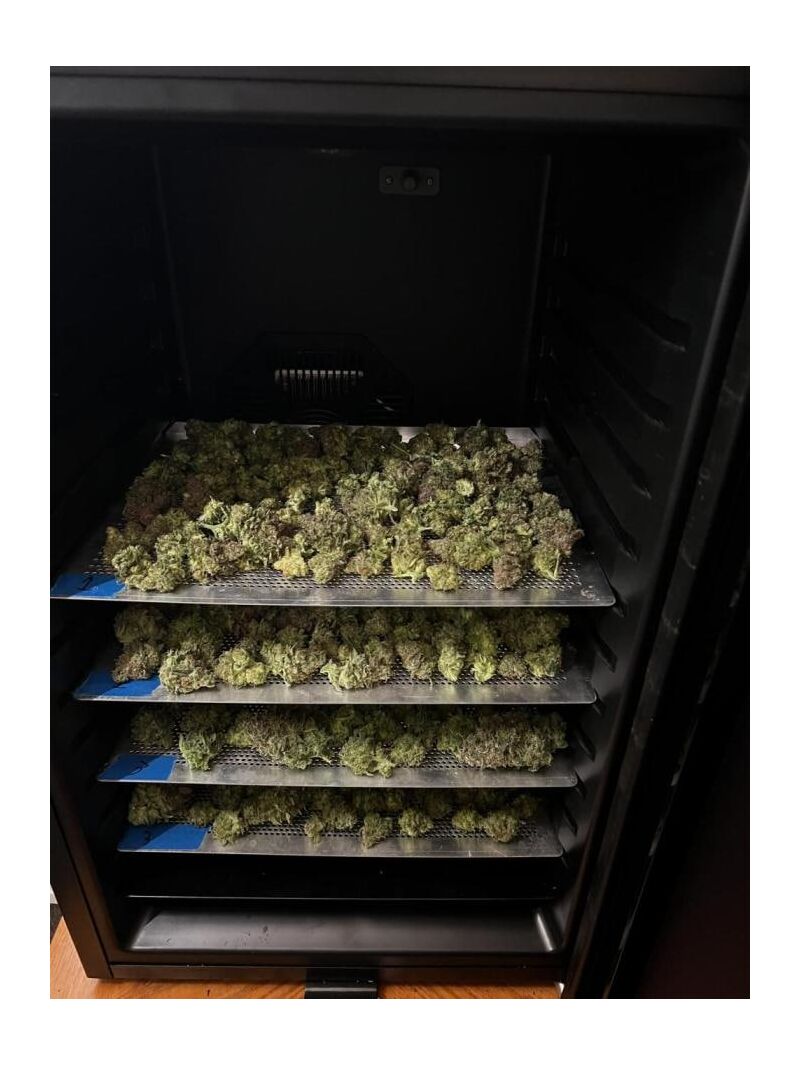 Raspberry Parfait, Фасовка: 3, изображение 5